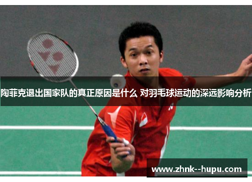 陶菲克退出国家队的真正原因是什么 对羽毛球运动的深远影响分析
