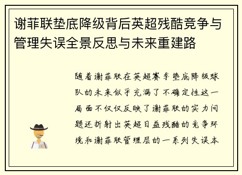 谢菲联垫底降级背后英超残酷竞争与管理失误全景反思与未来重建路